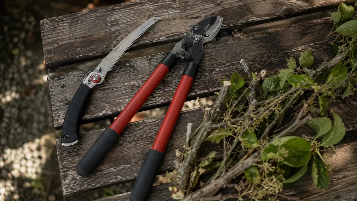A folded pruning saw and a pair of bypass loppers laid side by side on a wooden garden bench next to a pile of cut branches