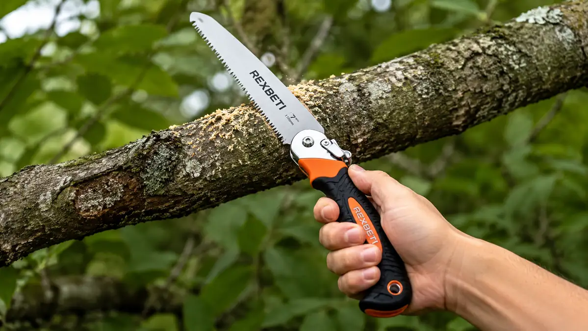Hand making an undercut on a thick branch with the REXBETI folding saw, blade angled upward